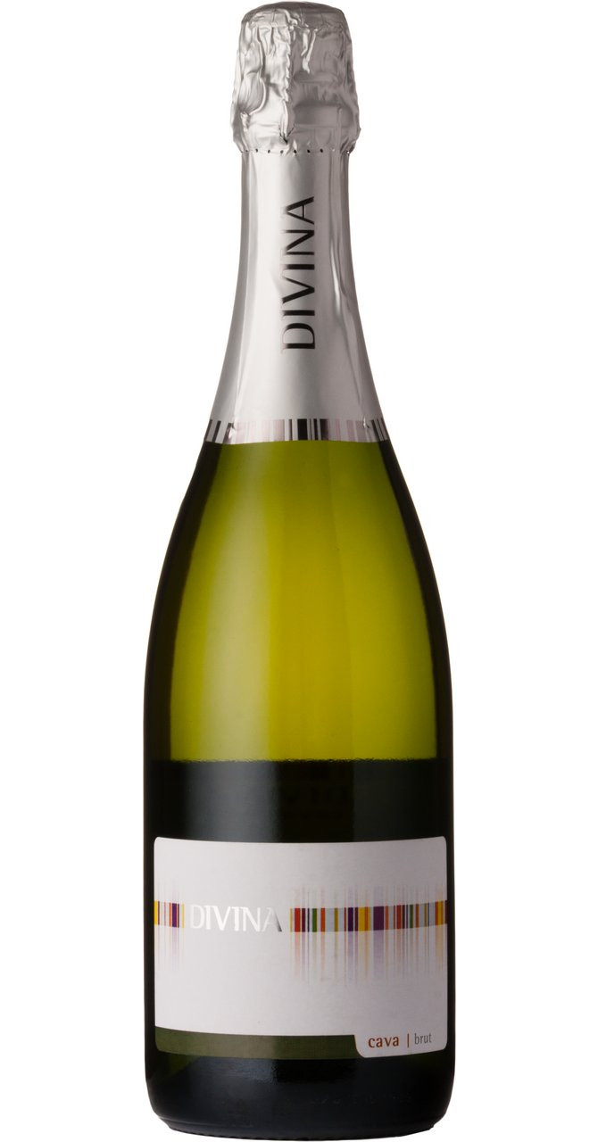 NV Divina Cava - case of six 75cl bottles - Bulkbuydirect