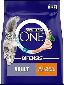 Purina ONE Adult Dry Cat Food Chicken and Whole Grains, 6kg: Nourishing Delight for Your Feline Friend - Bulkbuydirect
