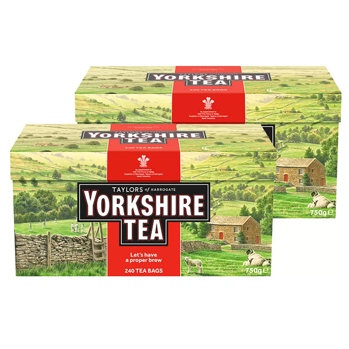Taylors of Harrogate Yorkshire Tea, 2 x 240 Pack - Bulkbuydirect