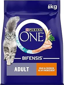 Purina ONE Adult Dry Cat Food Chicken and Whole Grains, 6kg: Nourishing Delight for Your Feline Friend - Bulkbuydirect