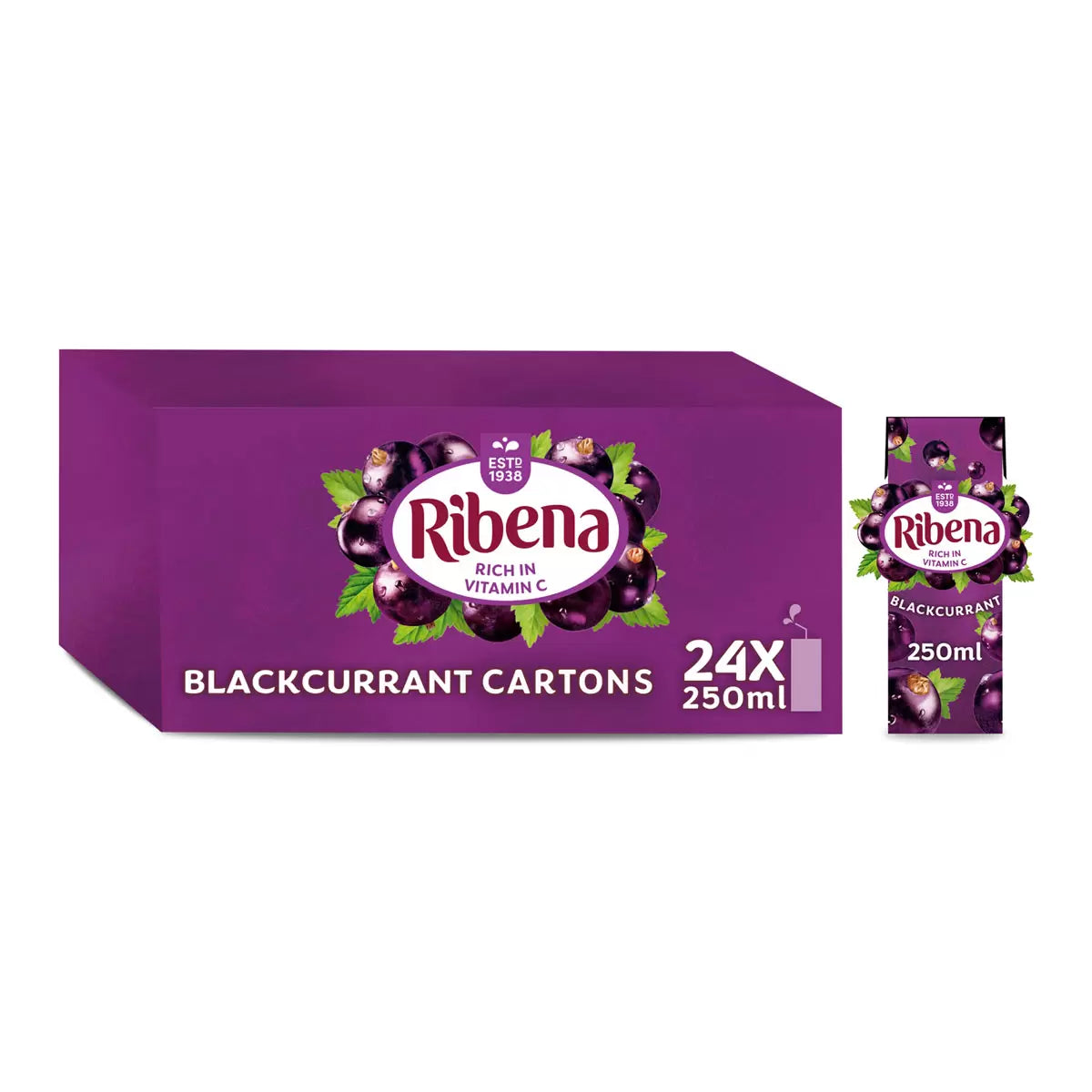 Ribena Blackcurrant 24 x 250ml - Bulkbuydirect