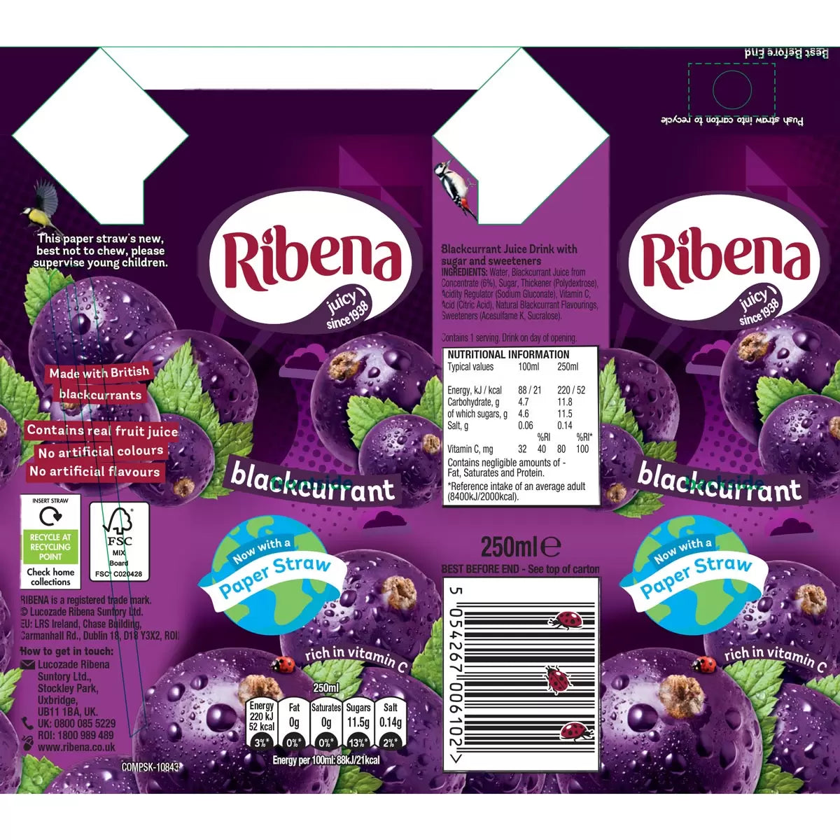 Ribena Blackcurrant 24 x 250ml - Bulkbuydirect
